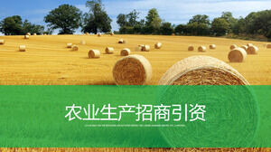 Modello PPT di pubblicità dei prodotti agricoli per la promozione degli investimenti nella produzione agricola