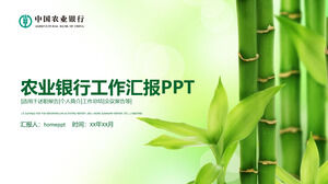 Modèle PPT de rapport de débriefing de profil personnel de la Banque agricole de Chine