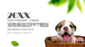 Plantilla PPT del plan de trabajo de promoción de la marca de la tienda de aseo de mascotas