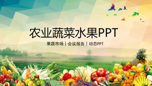農業蔬菜水果主題會議報告PPT模板