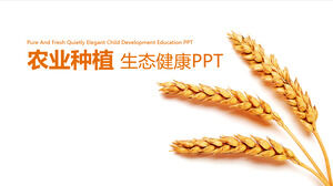 PPT-Vorlage für die landwirtschaftliche Pflanzung von Werbeanzeigen für landwirtschaftliche Produkte