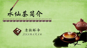 Modello PPT per la cultura del tè introduttivo al tè al narciso fresco