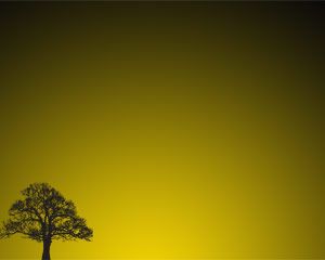 Baum-Sonnenuntergang Powerpoint-Vorlage