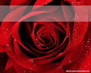 Plantilla de las rosas rojas Powerpoint