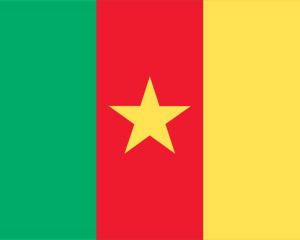 Флаг Камеруна PowerPoint