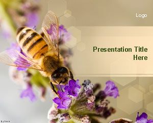 Template Nectar Bee PowerPoint