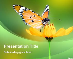 Szablon Flower Butterfly PowerPoint