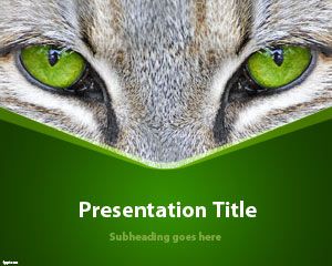 Szablon Cat Eyes PowerPoint