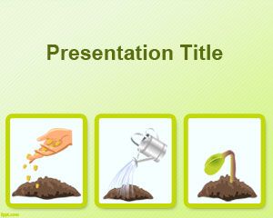Tohum çimlenme süreci PowerPoint Şablonu