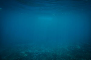 mundo submarino azul PPT sencilla imagen de fondo
