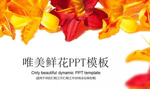 Fundo floral brilhante bonito PPT modelo download grátis