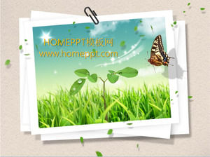 Farfalla Green Grass modello Sfondo diapositiva
