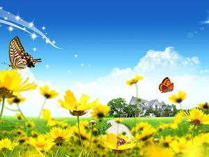 Бабочка Божья коровка Дикая хризантема РРТ Фоновое изображение