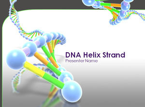 ADN-ul de prezentare helix strand