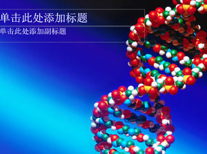DNA模型 - 医学PPT模板