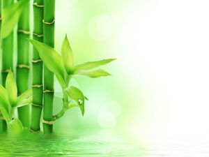Frische See Bambusblätter PPT Hintergrundbild