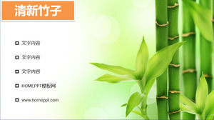 Segar lampu hijau PPT bambu gambar latar belakang Download