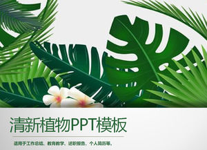 绿色宽叶植物背景ppt模板免费下载powerpoint模板免费下载