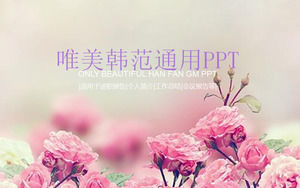 분홍색 장미 꽃 배경으로 한국어 PPT 템플릿