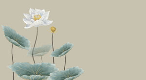 Lotus Like - Lotus theme minimalista pure atmosphere Modello ppt in stile cinese