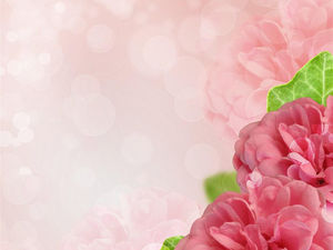 Розовый цветок РРТ фоновое изображение