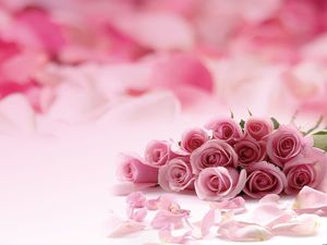imagen de fondo Rose rosada romántica PPT