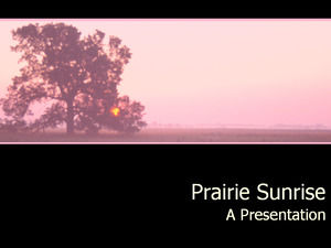 Prairie Sunrise negru