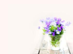 紫色的花朵植物PPT背景图片