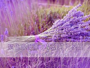 Fioletowy Romantyczny Lavender Tło roślin Pokaz Szablon Pobierz
