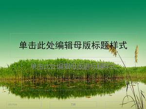 Reed slideshow de download verde template verde