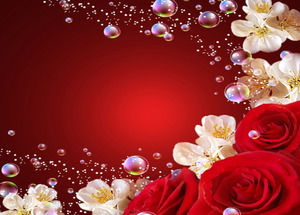 Romantische Rosen-Liebe Hintergrund ppt