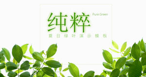 Летняя тема PPT шаблон со свежим зеленым фоном листья