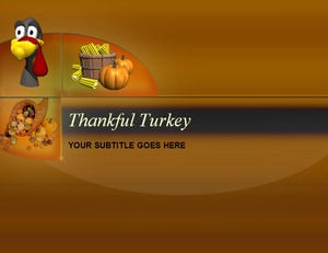 thankful Turchia