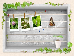 포도 나무 나비 PPT 배경 사진 다운로드