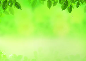 Gocce d'acqua foglie gialle toni verdi PPT immagini di sfondo