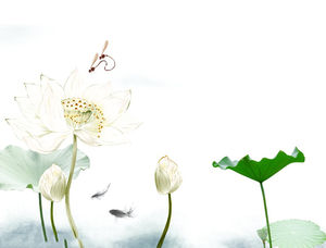 Apa Lotus Lotus Chineză Stil PPT imagine de fundal
