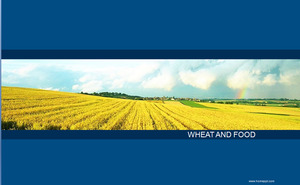 小麦のフィールドの背景ビジネスPPTテンプレートのダウンロード